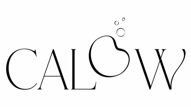 CALOW GmbH Logo