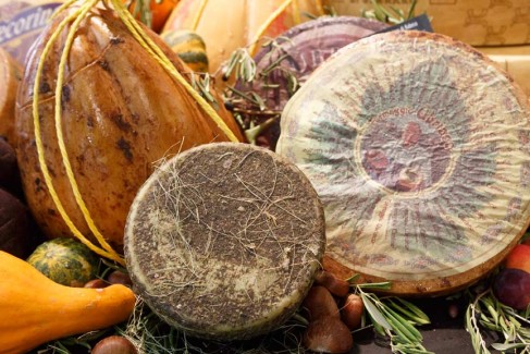 Fine_Food_c