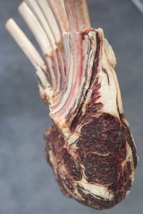 Meat_e