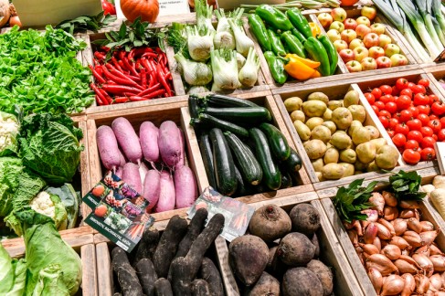 Organic_Market_Stall