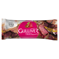 Gulliver TRIO Raspberry_png.png