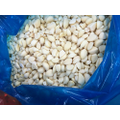 QQ20230913154520_jpg.png