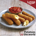Mozza sticks_LR_jpg.png